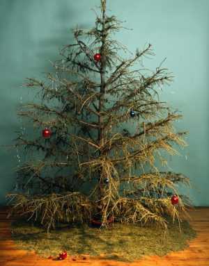 Техника безопасности при украшении новогодней елки
